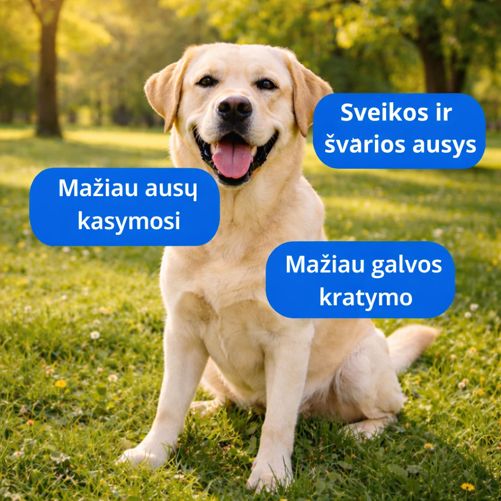 Sunfide - Papildas nuo niežėjimo