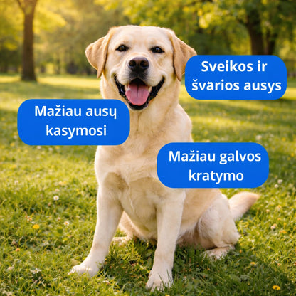 Sunfide - Papildas nuo niežėjimo