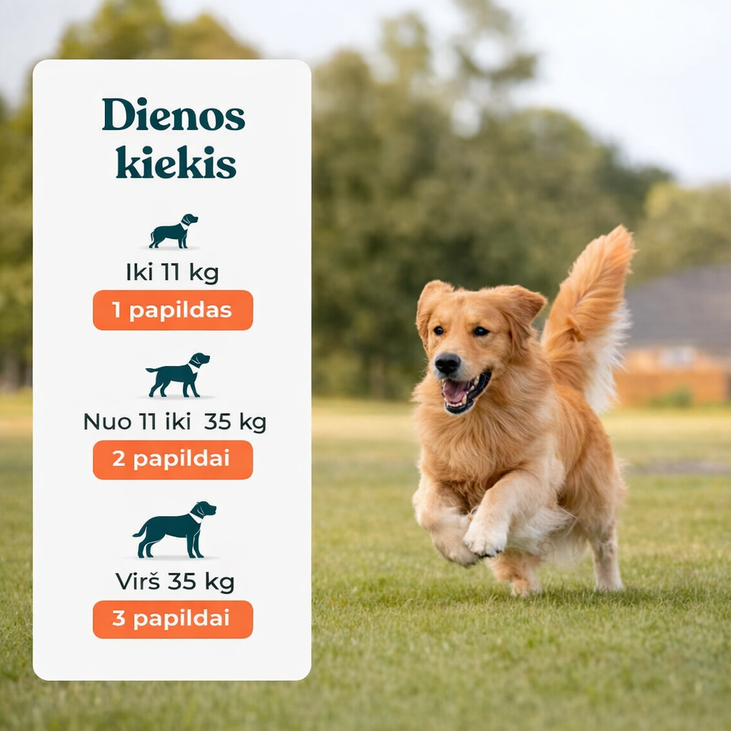 IntegroPet - Virškinimo probiotikas