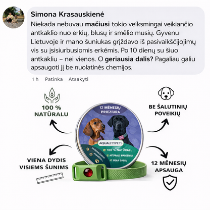 Natural AqualityPets Collar for Dogs