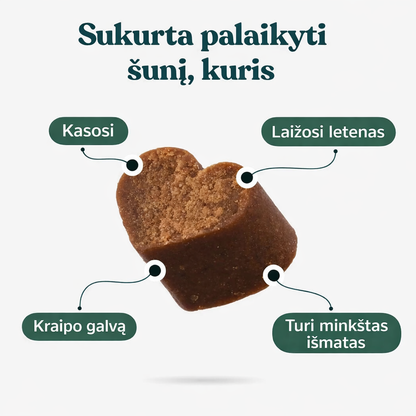 IntegroPet - Virškinimo probiotikas
