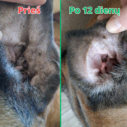 Sunfide - Papildas nuo niežėjimo