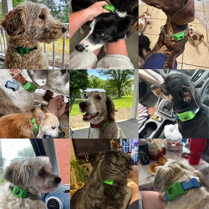 Natural AqualityPets Collar for Dogs