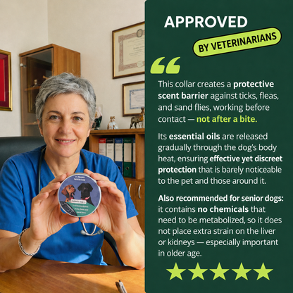 Natural AqualityPets Collar for Dogs