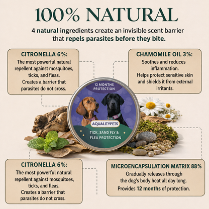 Natural AqualityPets Collar for Dogs